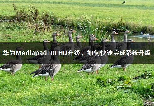 华为Mediapad10FHD升级，如何快速完成系统升级-1