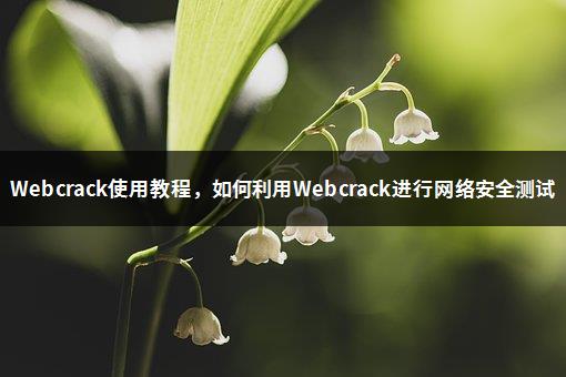 Webcrack使用教程，如何利用Webcrack进行网络安全测试-1