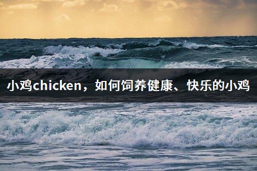 小鸡chicken，如何饲养健康、快乐的小鸡-1