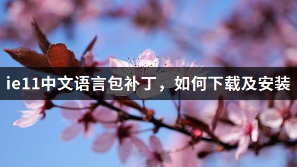 ie11中文语言包补丁，如何下载及安装-1