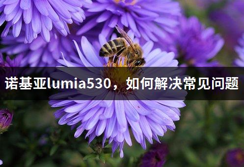 诺基亚lumia530，如何解决常见问题-1