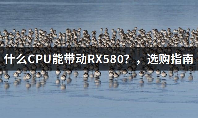 什么CPU能带动RX580？，选购指南-1