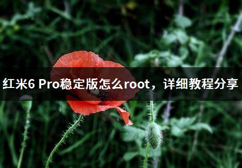 红米6 Pro稳定版怎么root，详细教程分享-1